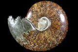 Polished, Agatized Ammonite (Cleoniceras) - Madagascar #78350-1